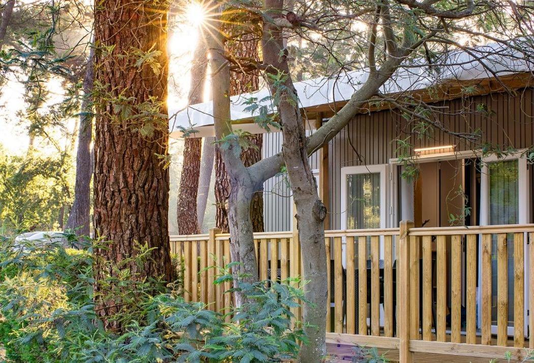 Camping Ares Kültér fotó