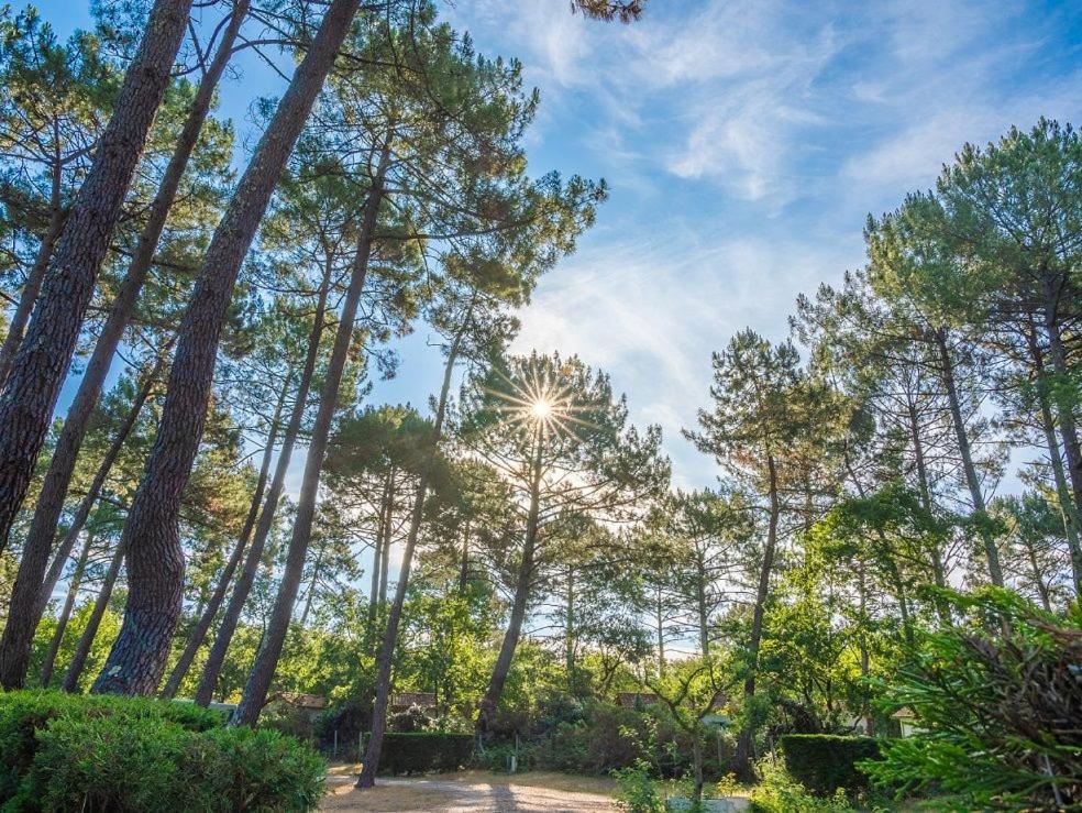 Camping Ares Kültér fotó