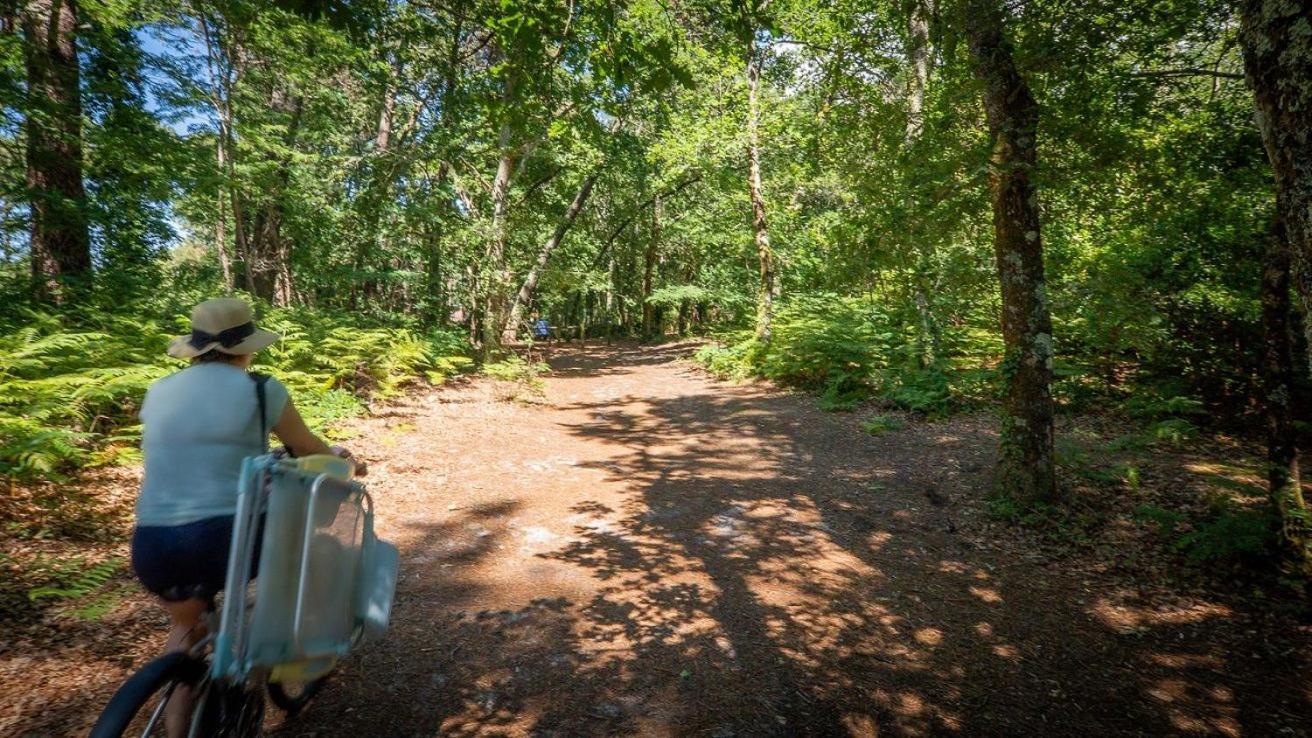 Camping Ares Kültér fotó