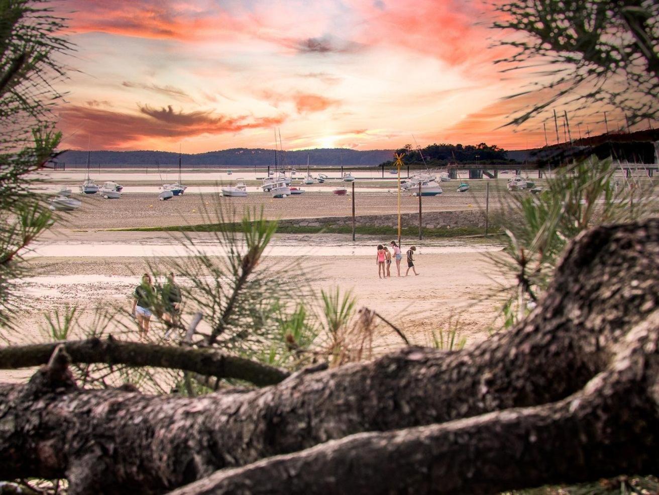 Camping Ares Kültér fotó